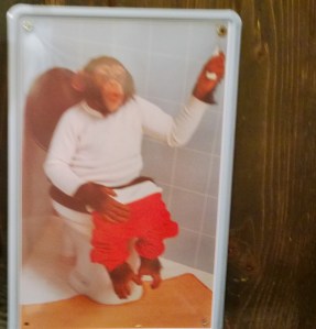 bathroom monkey