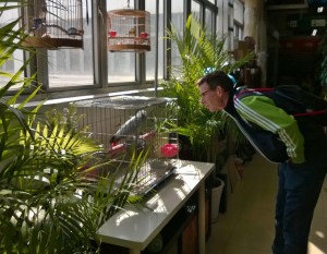 Parrots=tastes like chicken. Sorry, Thom, I know you like chatting with them.