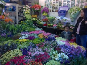 Spring has sprung at the Pudong Flower Market