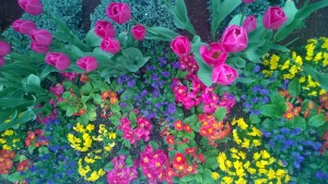 Stop and smell the Seattle flowers!  Life is short-enjoy it!