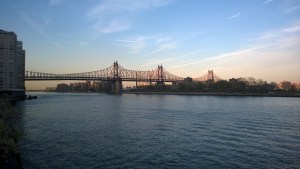 View from the dog park.  How do you beat this?