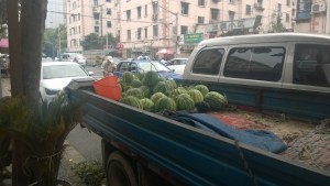 Watermelons are plentiful right now!  Wished I liked them.