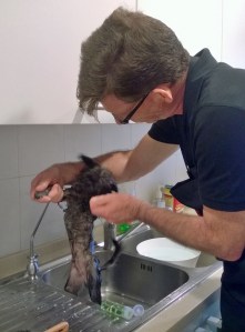 Thor looks so skinny when he's wet yet didn't fit into his cute outfit