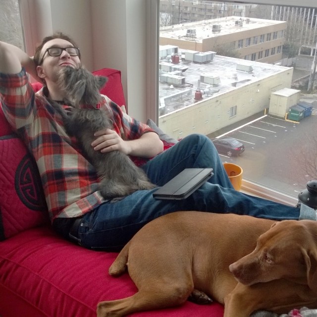 Thor and Izaak giving James lots of puppy love