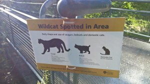 See Cougar Sign..See Melinda Run...Fast