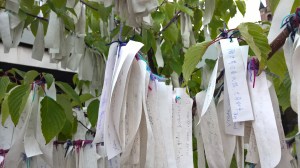 WP_20150922_15_40_05_Pro