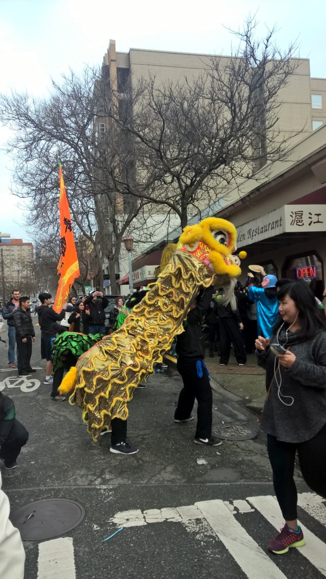 WP_20160213_11_50_11_Pro