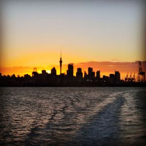 d7c82f84-4604-4ed4-942f-c1549bbc5102