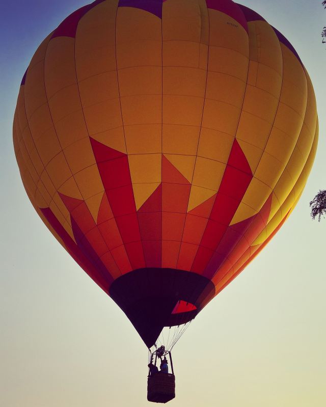 B68E6D3E-87DD-4B07-98F2-FBB2443534CA